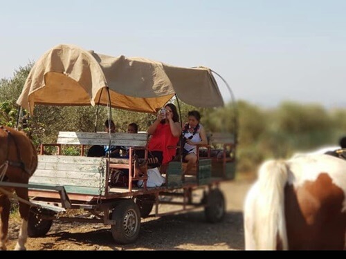 החווה הצ'רקסית